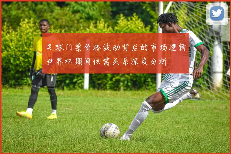 足球门票价格波动背后的市场逻辑世界杯期间供需关系深度分析